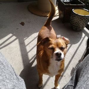 Meet your Posher, Jan